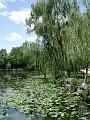Chine - A développer - 0196
